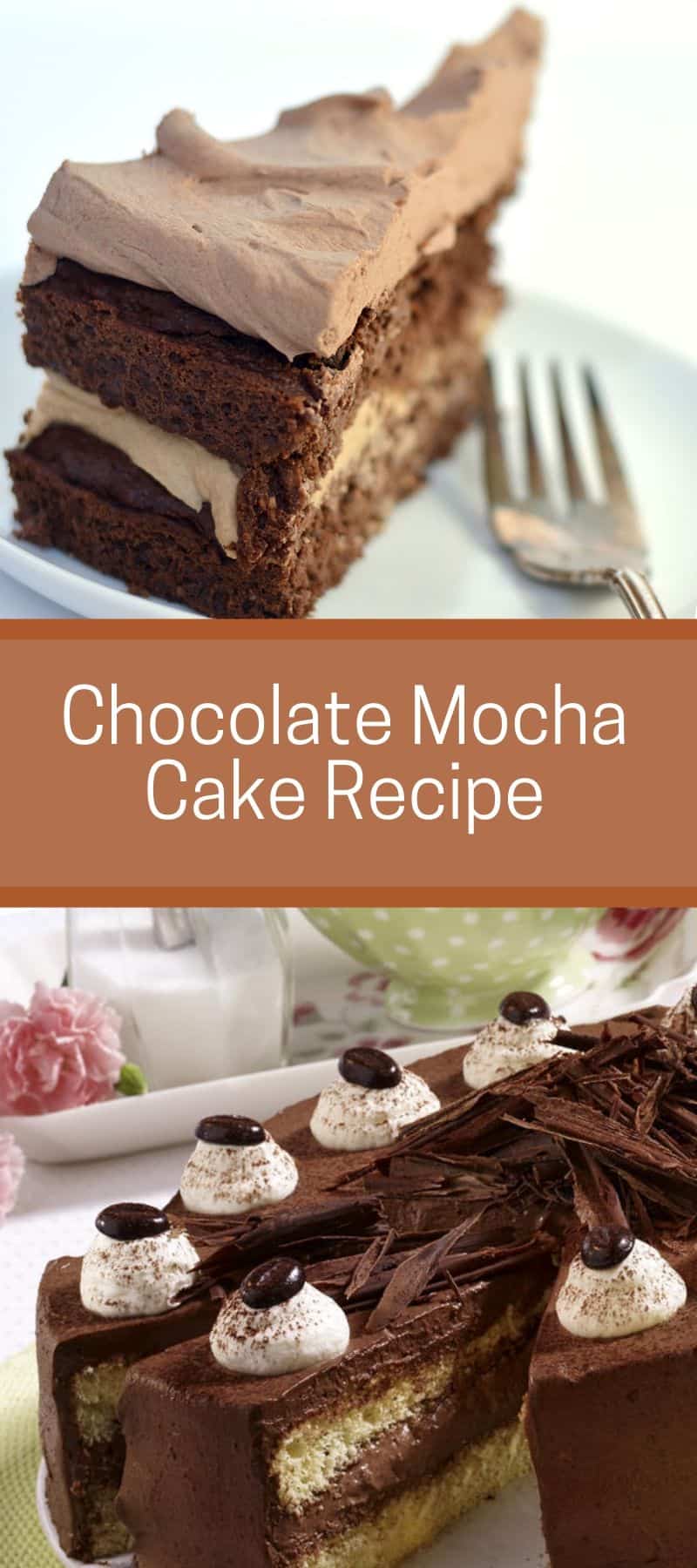Chocolate Mocha Cake Recipe 3