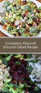 Cranberry Almond Broccoli Salad Recipe 3