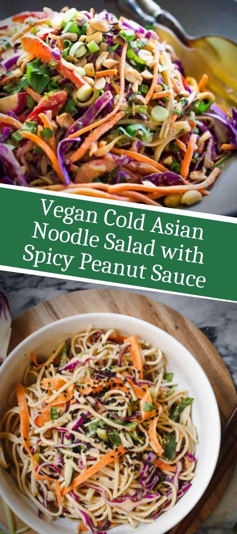 Vegan Cold Asian Noodle Salad with Spicy Peanut Sauce 3